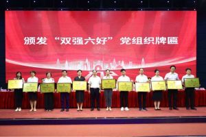 喜报！完美网页版登录入口_完美(中国)集团党支部荣获广州市非公有制经济组织“双强六好”党