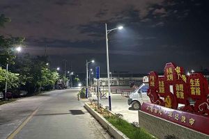 完美网页版登录入口_完美(中国)集团罗宁弟爱心捐赠路灯，点亮乡村路温暖乡民心